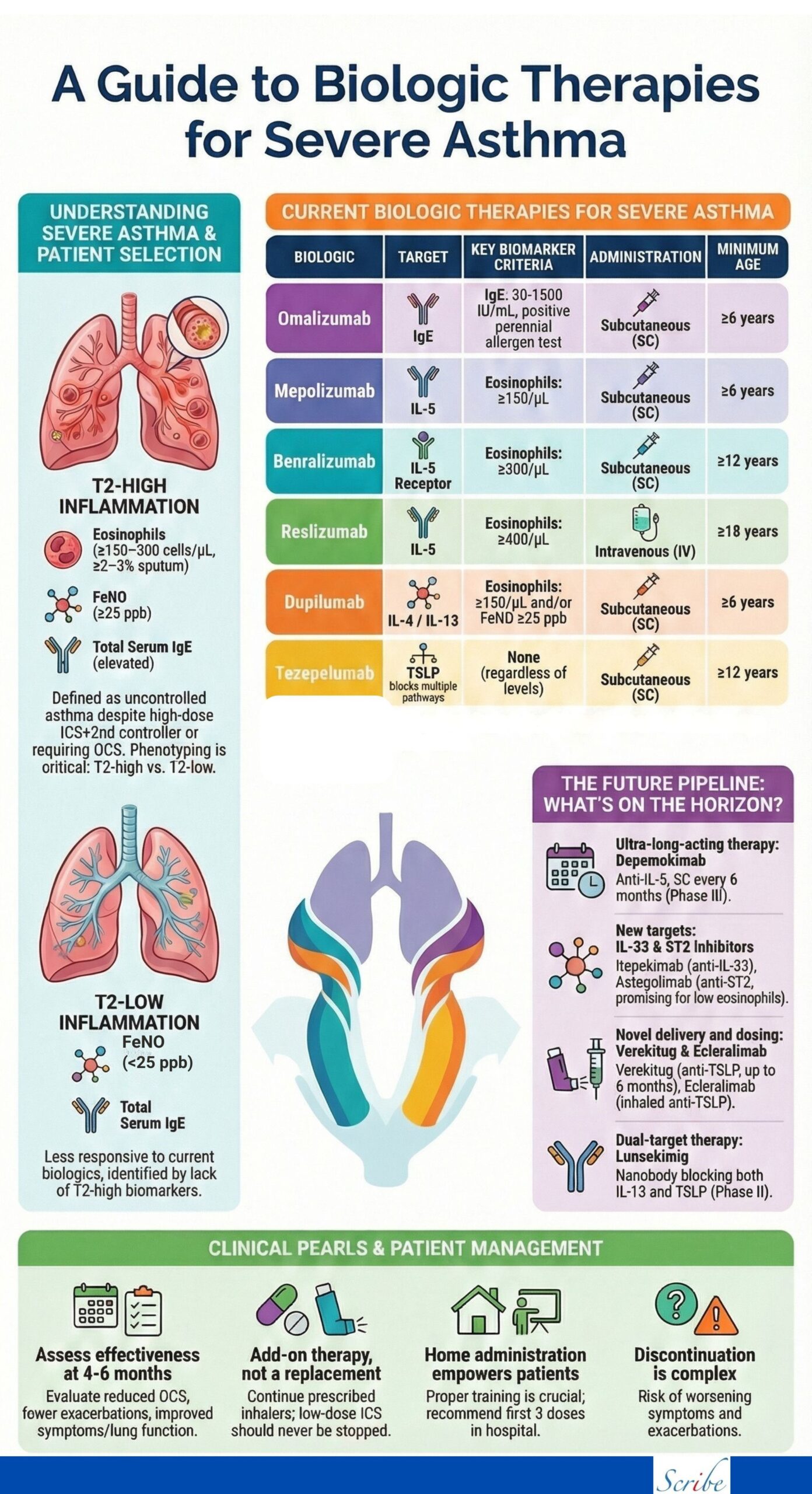 A Guide to Biologic Therapies For Severe Asthma - Scribe of Egypt
